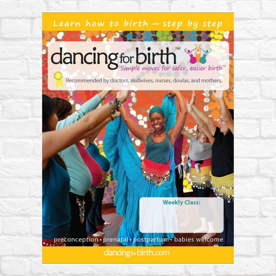 Learn how to Birth - step by step Flyer (8.50" x 10.98")