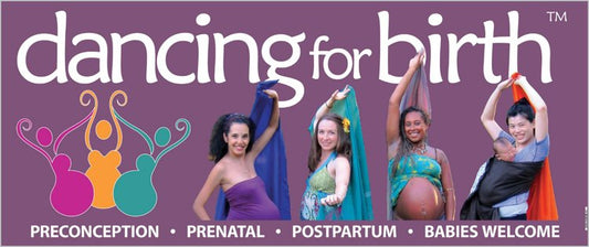 Outdoor Banner (2.5 x 6' )